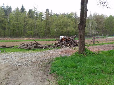 Foto 161